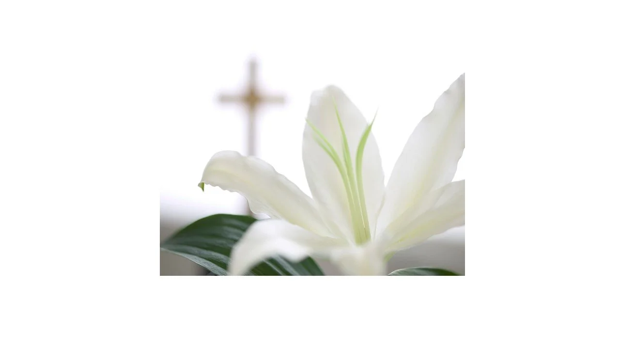   Easter Combined Sunday Service    復活節主日聯合崇拜    2026-04-05 @ 10AM    Click here / 點擊這裡    
