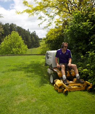 Commercial lawn mowing
