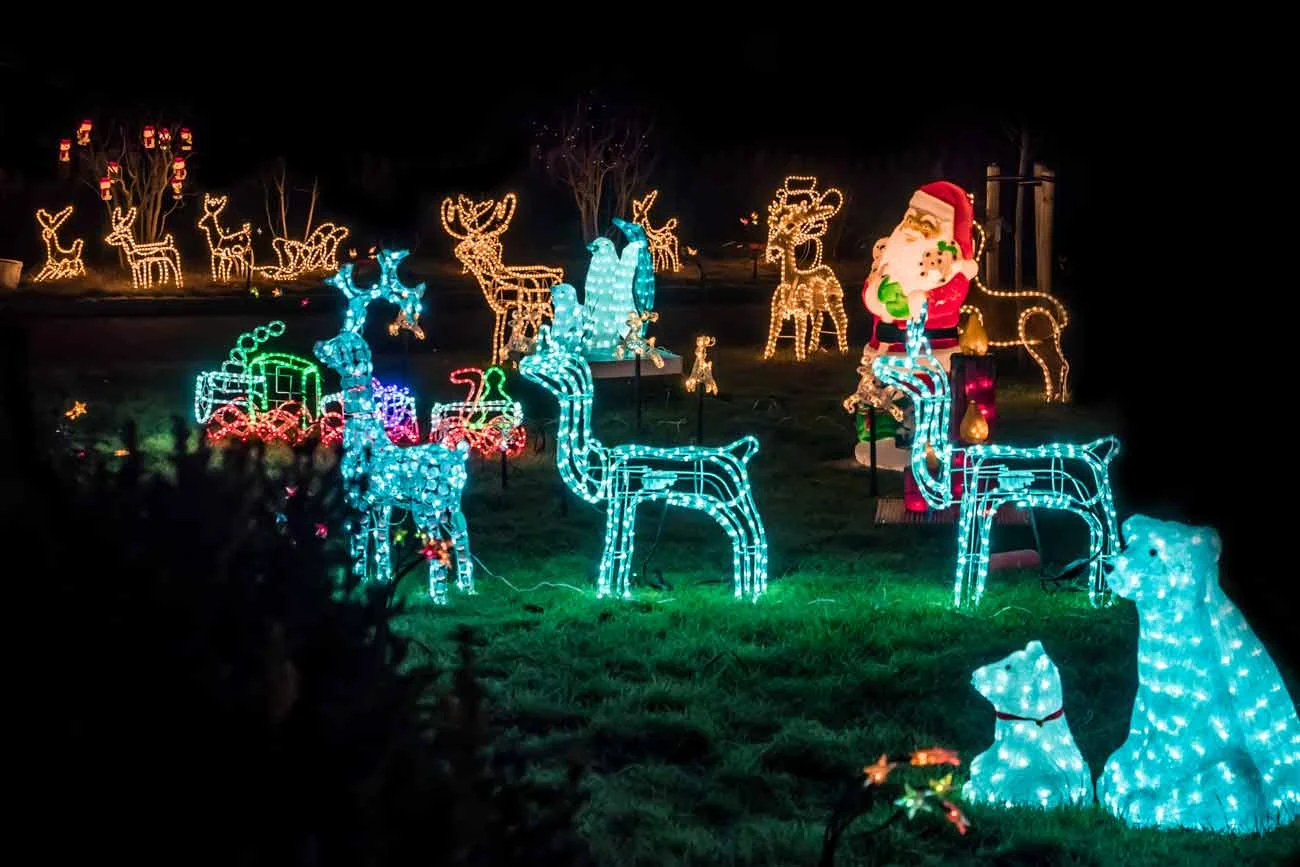 Christmas lights in the front yard