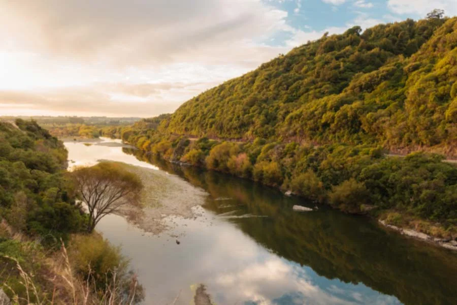 Business for Sale Manawatu