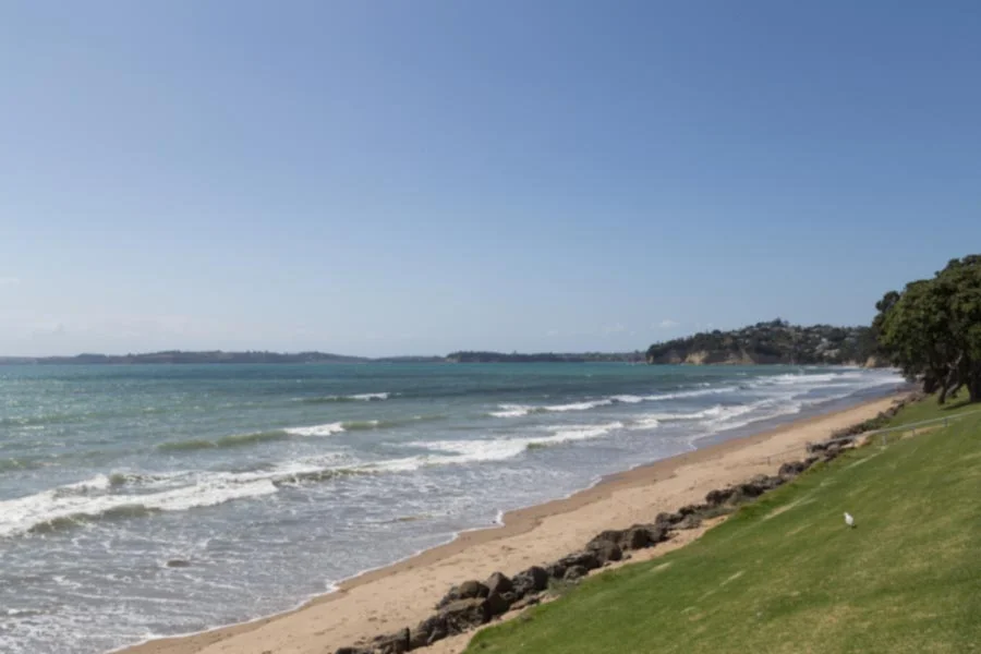 Business for Sale Hibiscus Coast