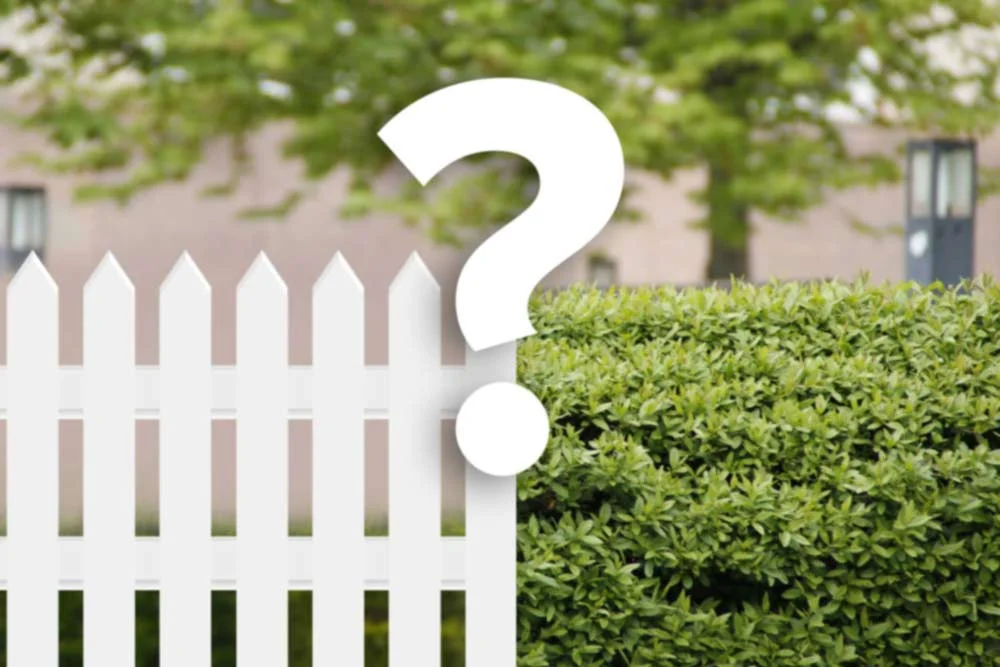 Is a hedge better than a fence? | Crewcut Lawn & Garden