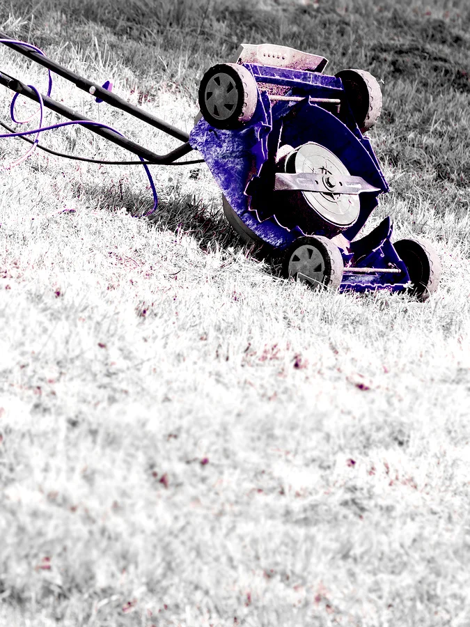 Lawn mower sitting in frosted grass