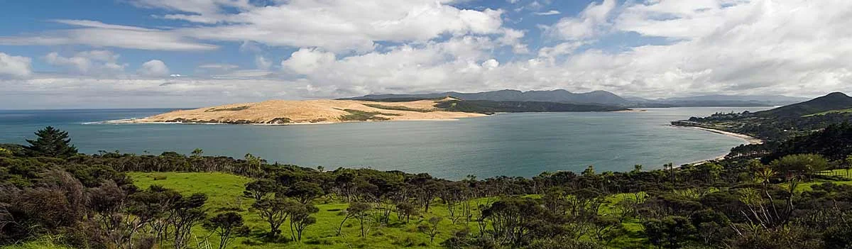 hokianga-crewcut.jpg