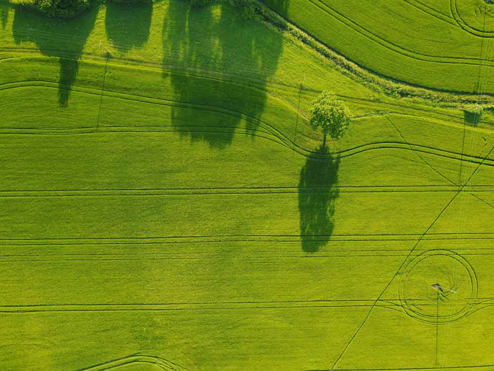 large-grass-field.jpg