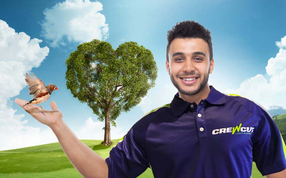 Make Your Lawn Mowing Business 'Green' with These 9 Steps