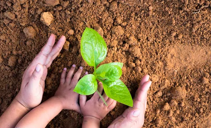 Teach your children these enviro friendly garden hacks