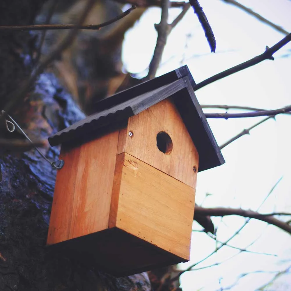 Wooden bird house against a tree