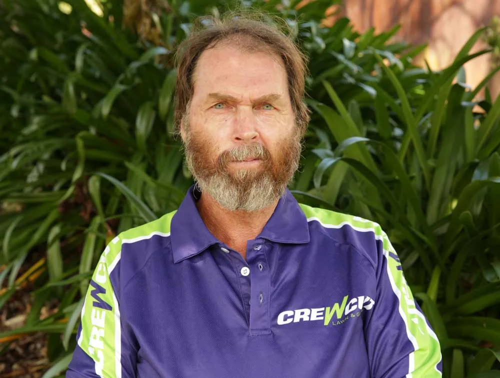 paul-c-central-auckland.jpg