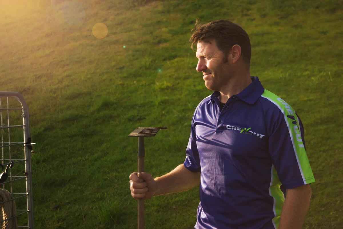 lawn-mowing-business-model.jpg
