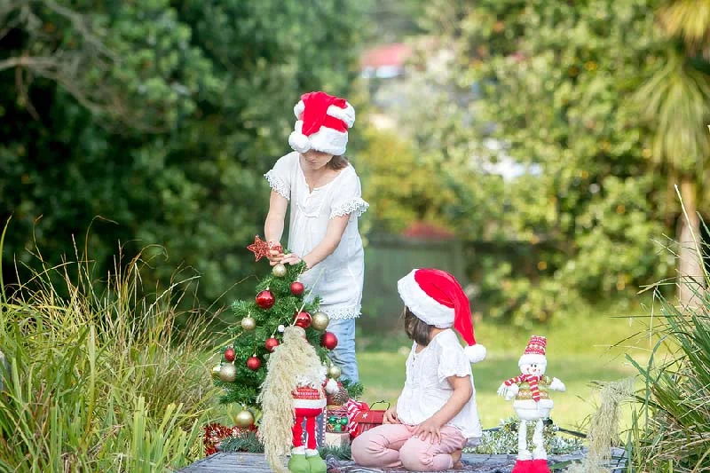 6 fun ways to prepare your backyard for Christmas | Crewcut Lawn & Garden