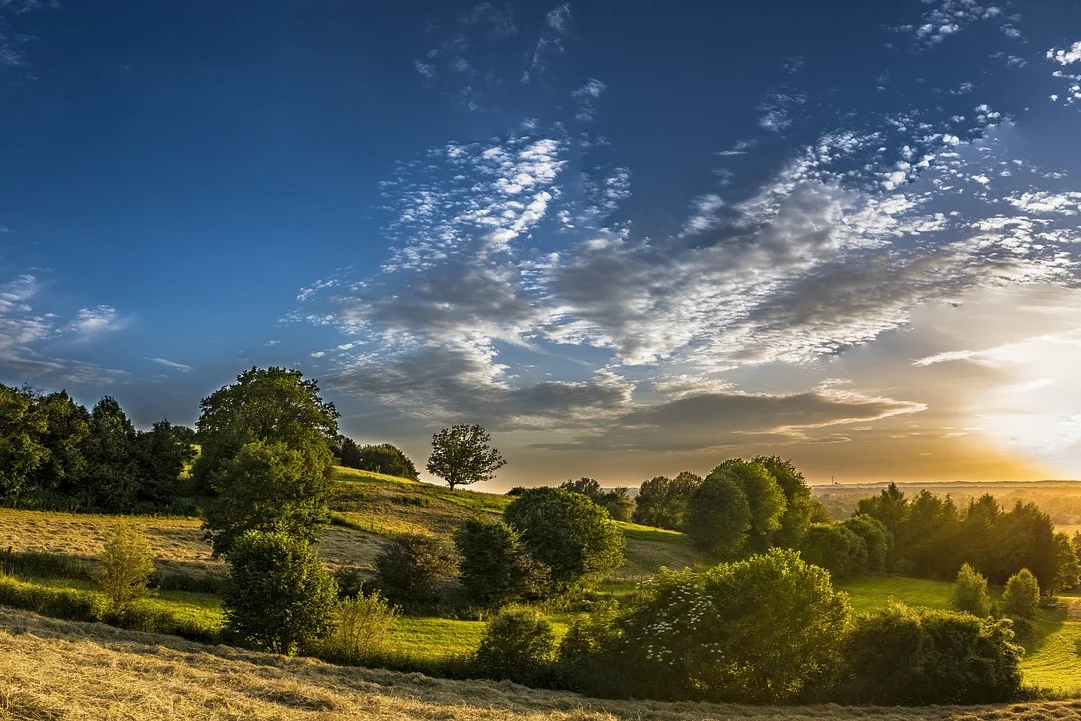 5 Summer Lawn Care Tips