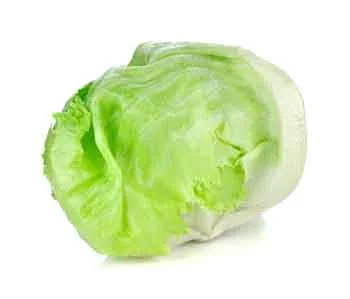 lettuce.jpg
