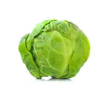 Brussel-sprout.jpg