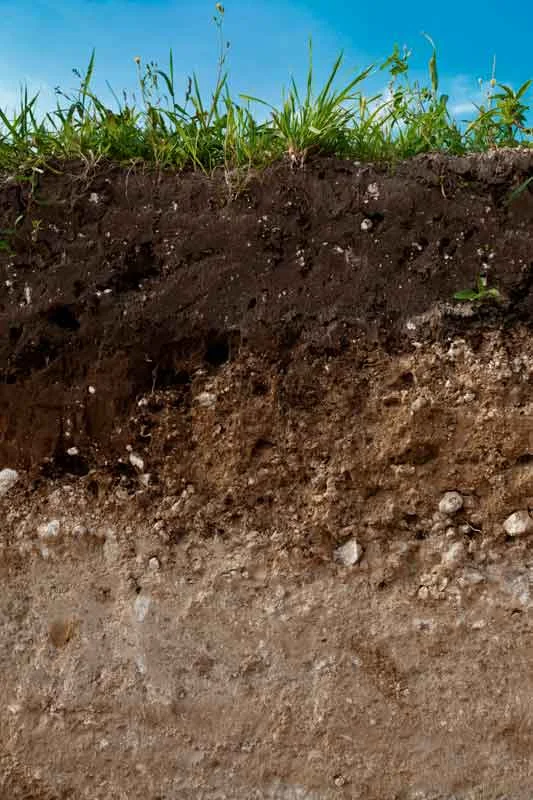 subsoil.jpg