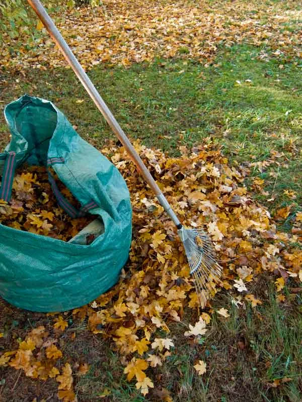 Eco-Friendly Garden Waste Disposal | Crewcut Lawn & Garden