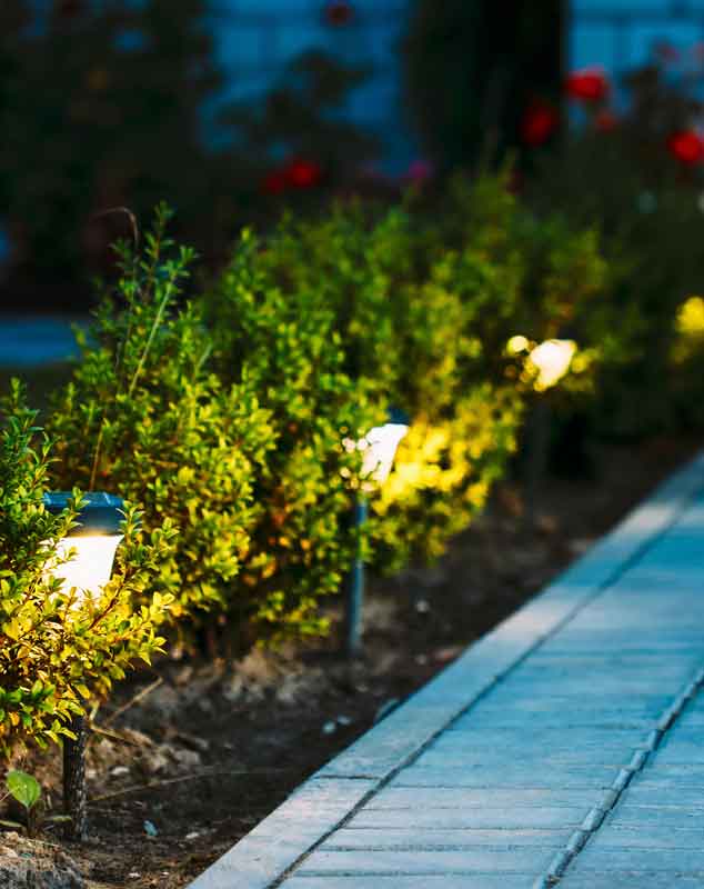 Top Garden Lighting Ideas For Your Outdoor Paradise