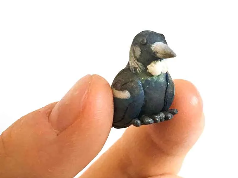 Tui.jpg
