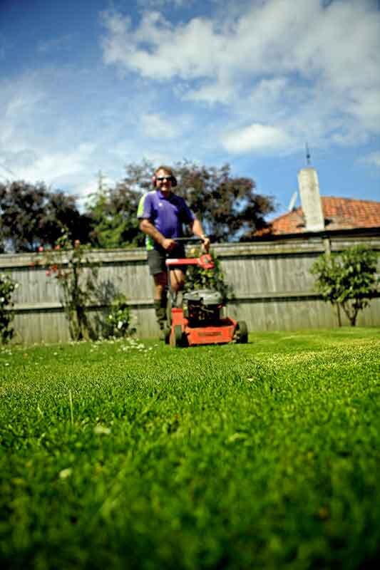 Lawn Mowing Guide Crewcut, West Bay Landscape And Lawn Maintenance