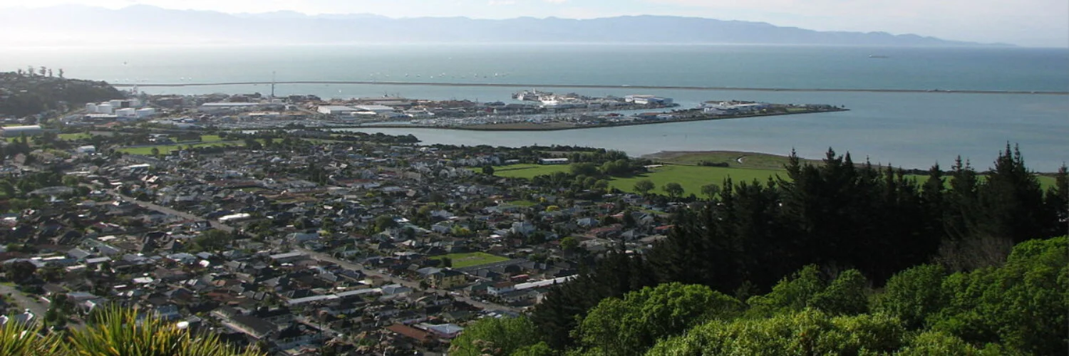 Nelson Business for Sale