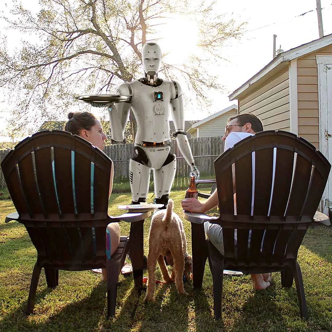 The Robots in Your Backyard