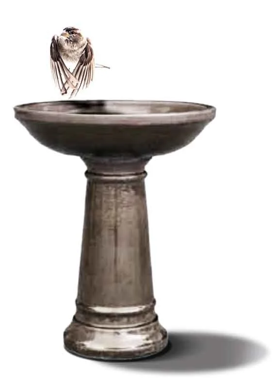 birdbath.jpg