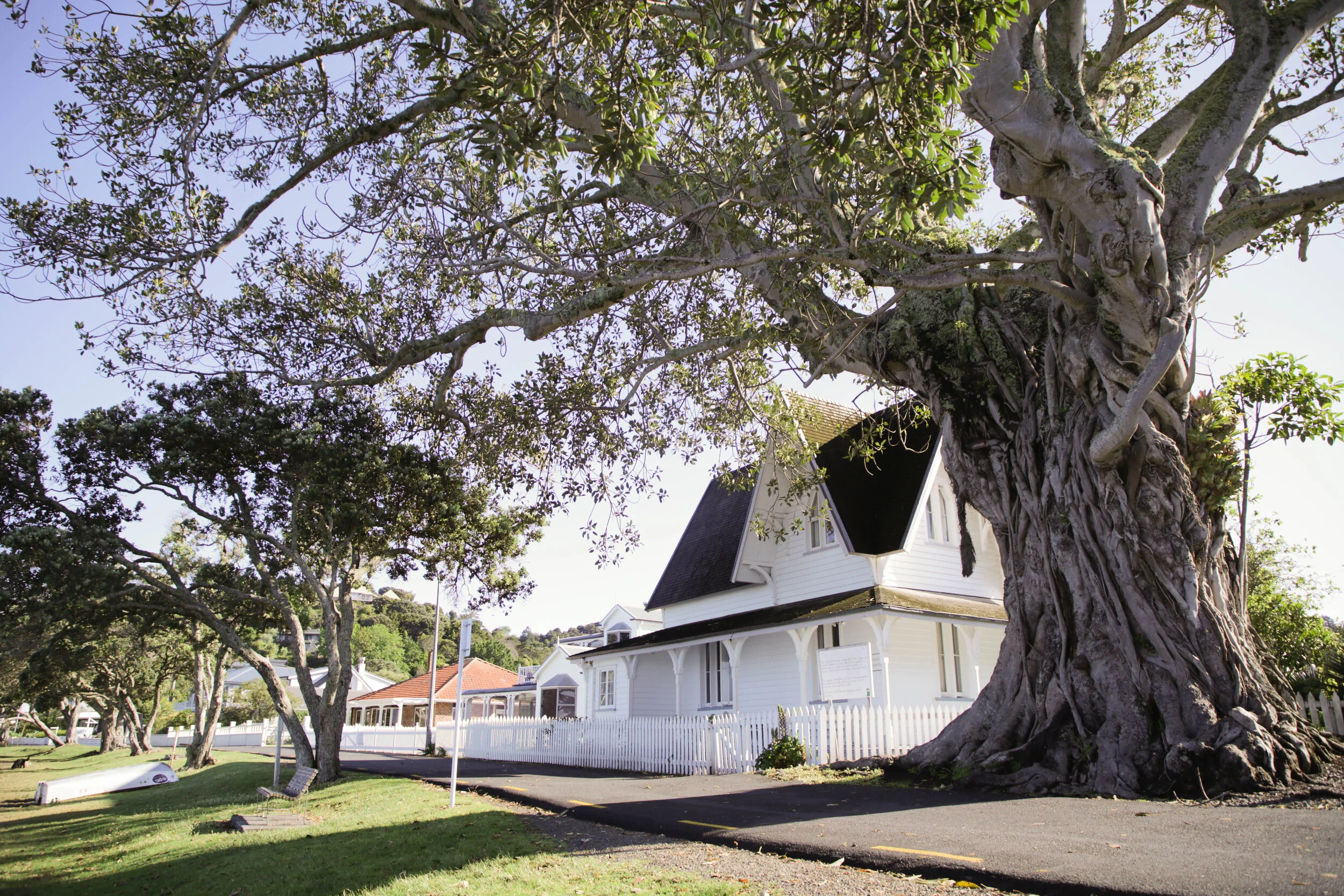 Russell Police Station and the adjacent Moreton Bay fig tree