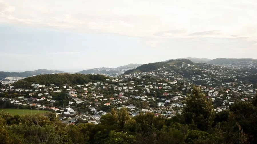 Business for Sale Central Wellington