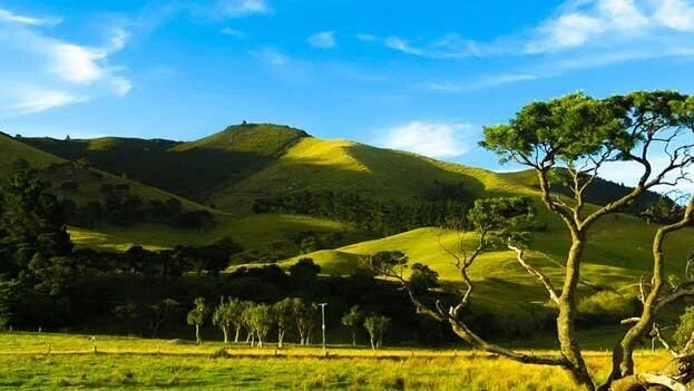 Hutt Valley Business for Sale