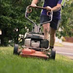 Lawn Mowing