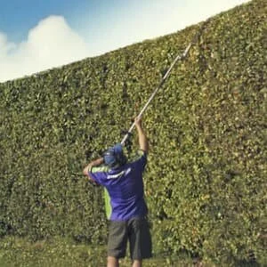 Hedge Trimming