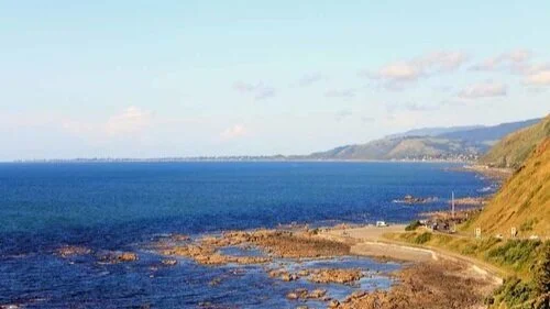 Business for Sale Kapiti Coast