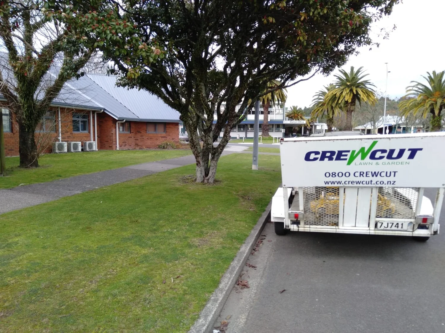 Business for Sale Whakatane Crewcut Lawn & Garden