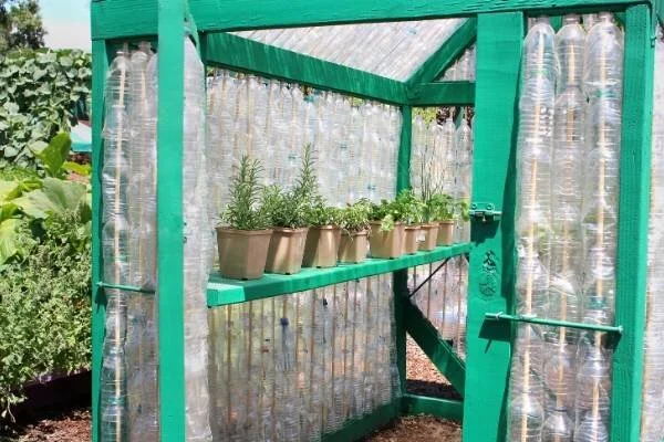 Plastic bottle greenhouse