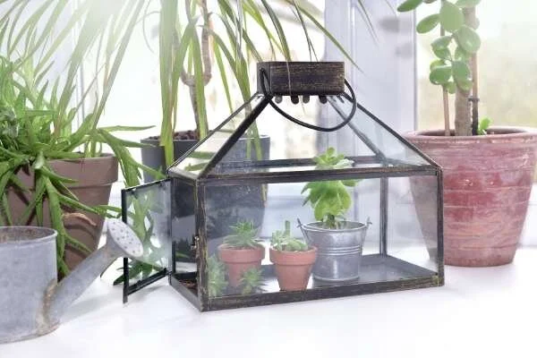 Frame greenhouse