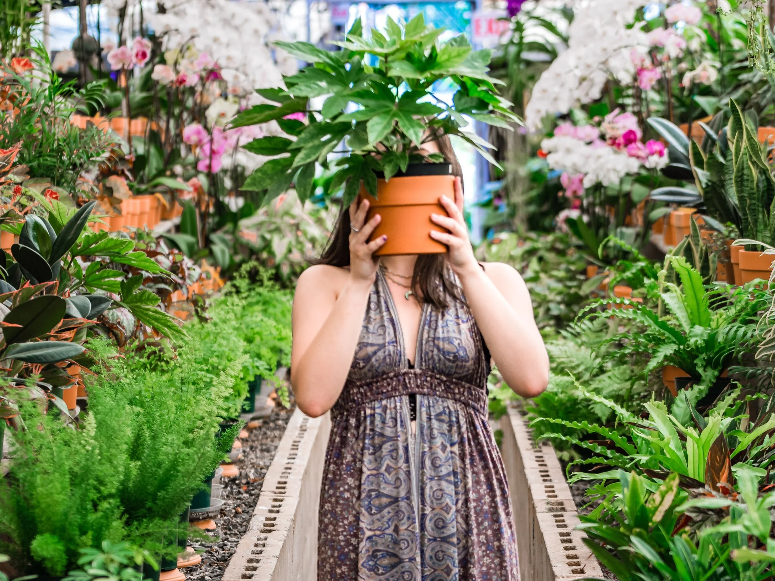 10 Great Gardening Resources for New Zealanders