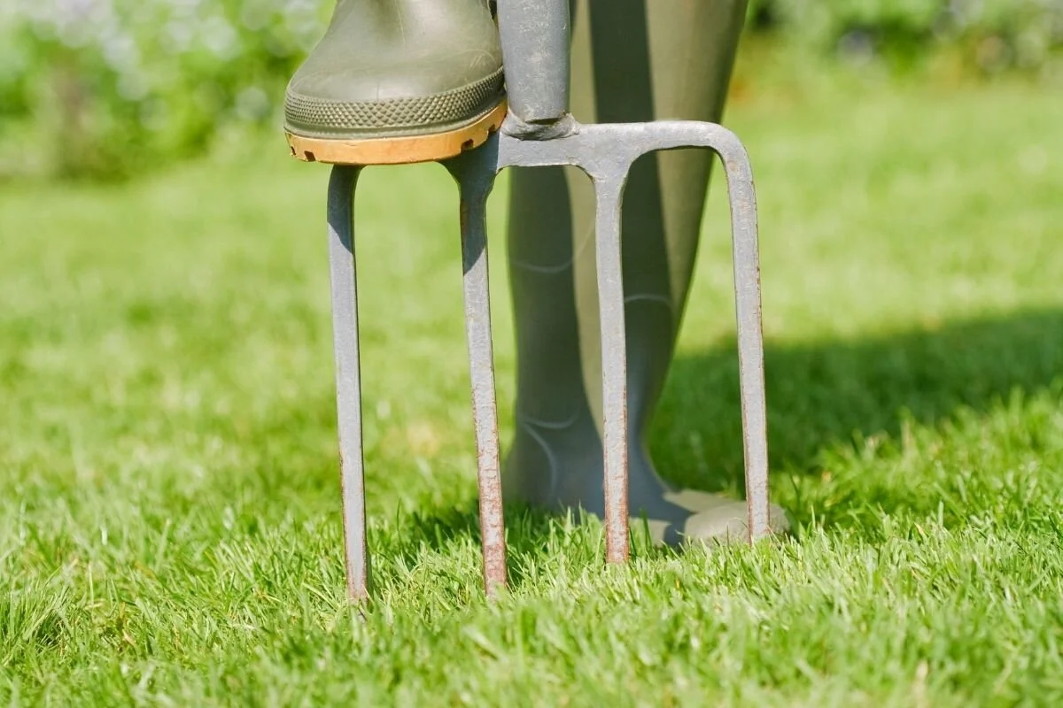 Lawn aeration process