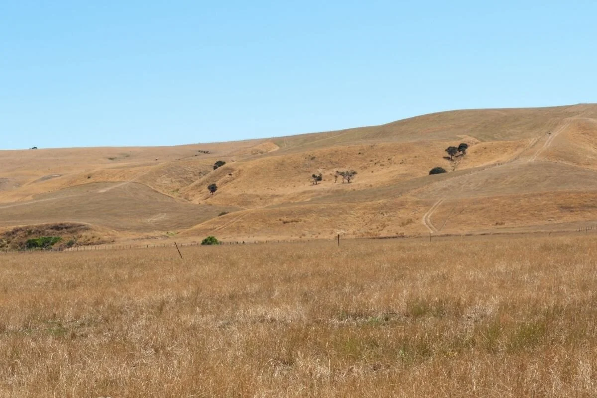 Drought in Wairarapa
