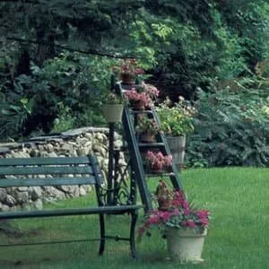 Garden Tidies