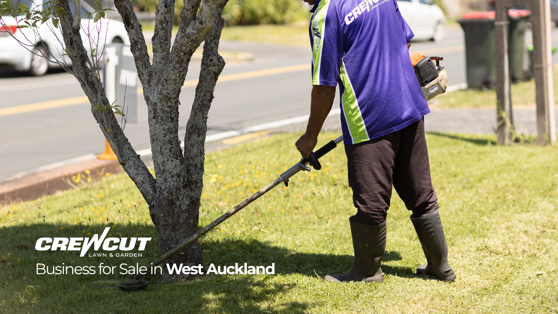 Crewcut Franchise for Sale – West Auckland | 37 Clients