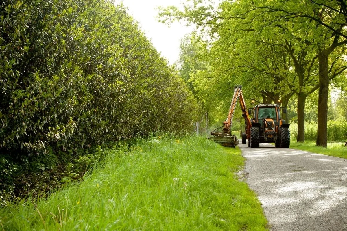 council-requirements-for-mowing-crewcut-lawn-garden