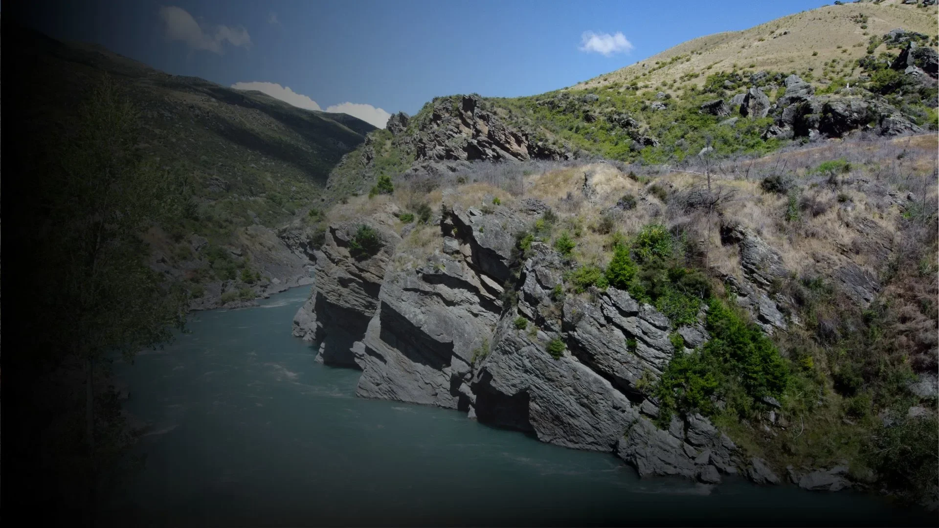 Otago.webp