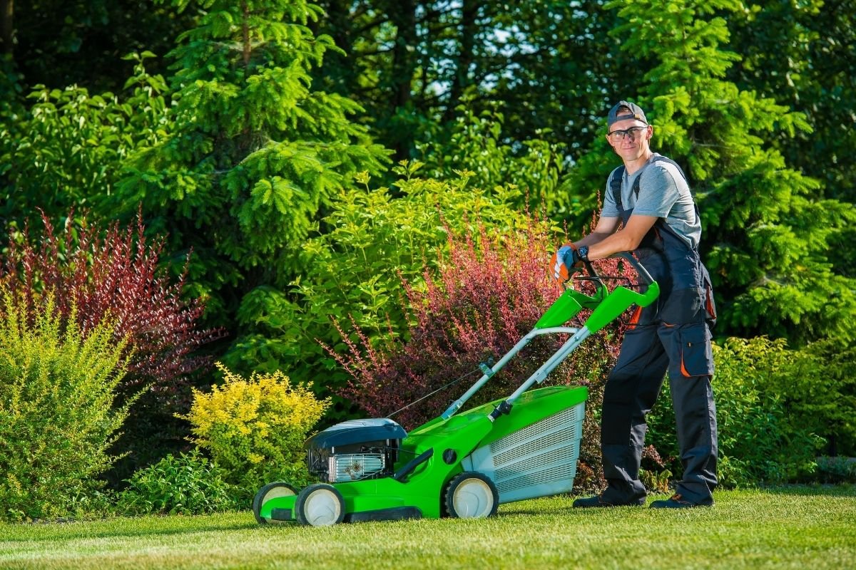 Landscaping Wellington