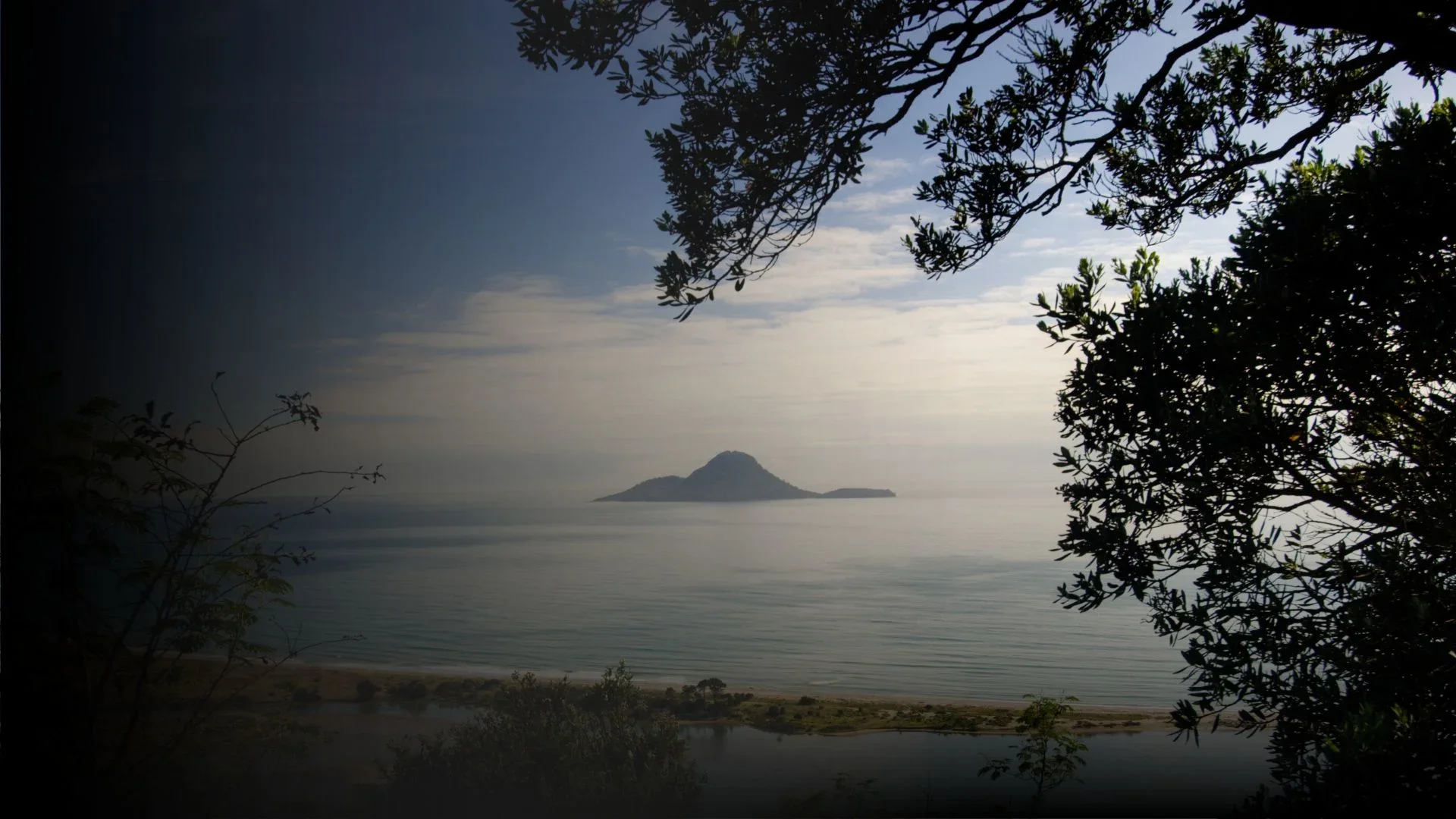 Whakatane.webp