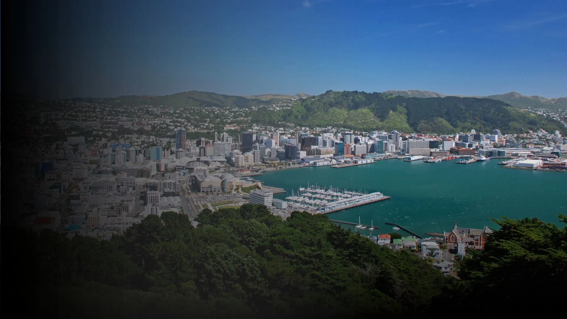 Wellington.webp