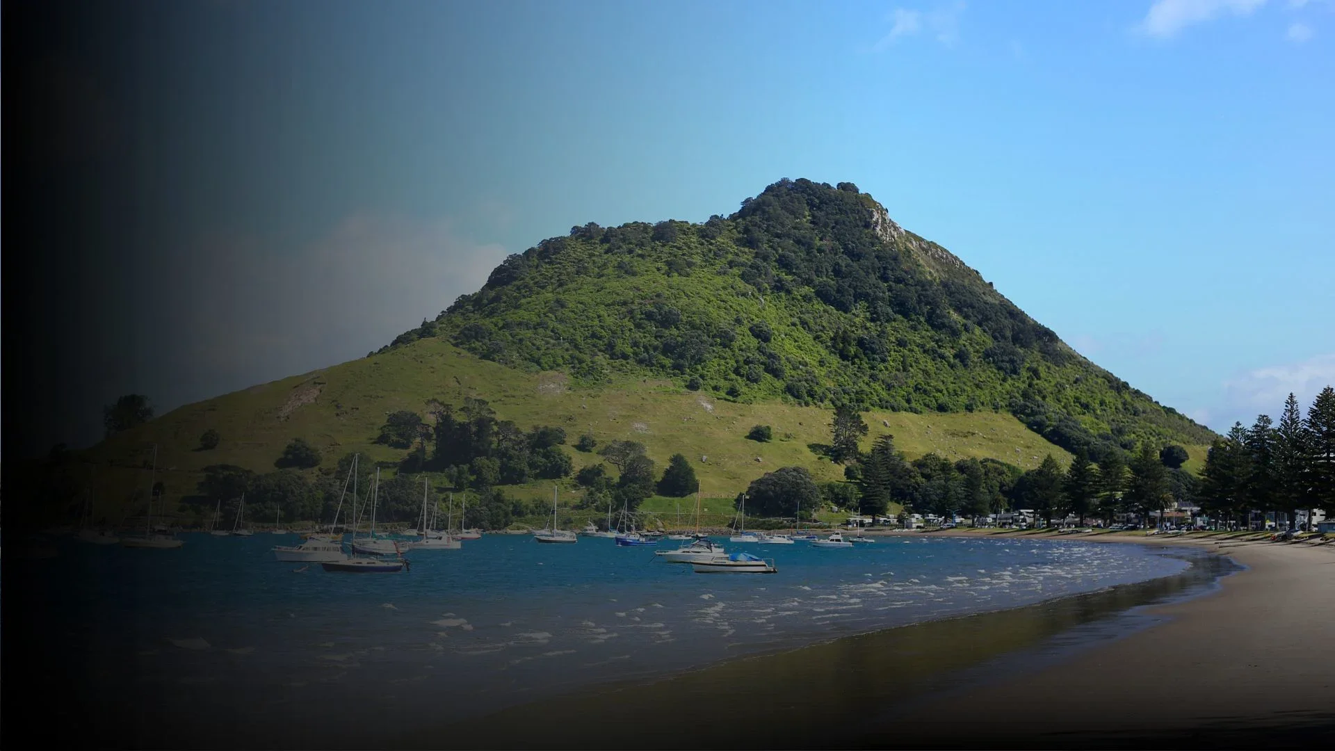 Tauranga.webp