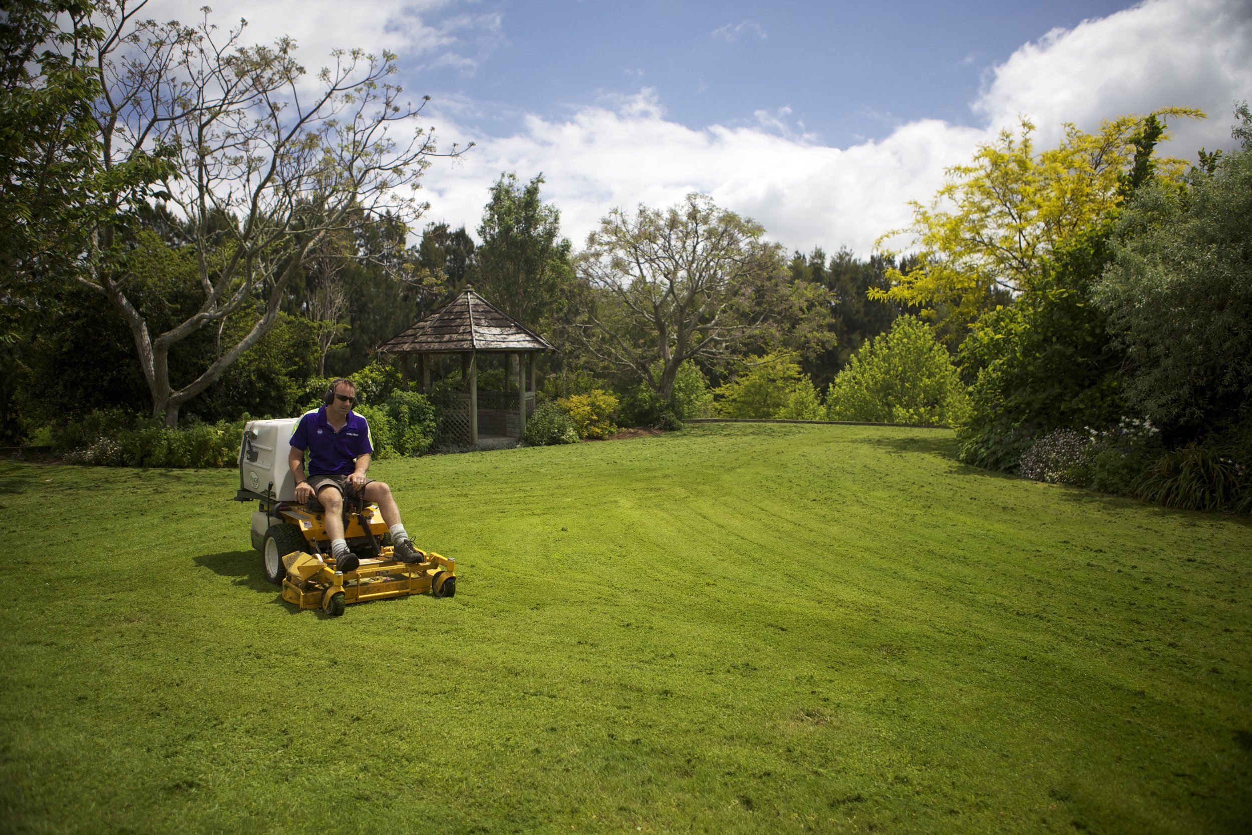 Ride on lawn mowing services sale