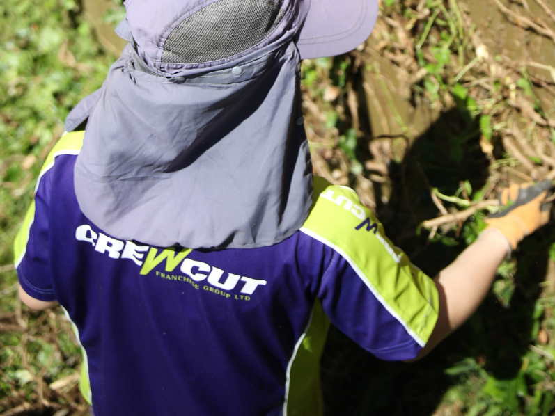 Hutt Valley Crew Elf
