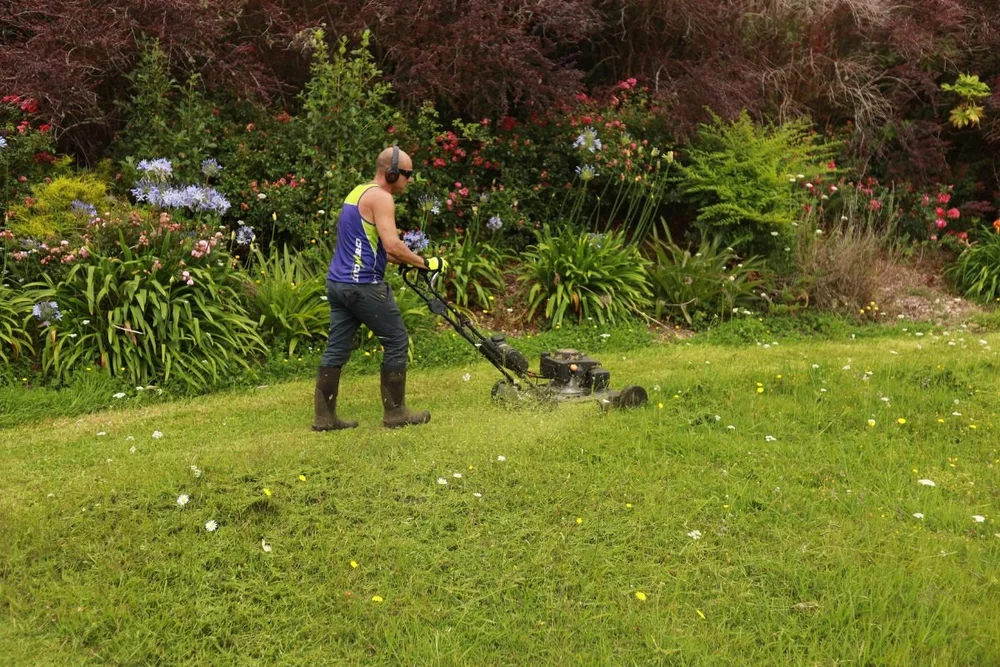 Best Practices for Sustainable Mowing: Eco-Friendly Lawn Care Tips