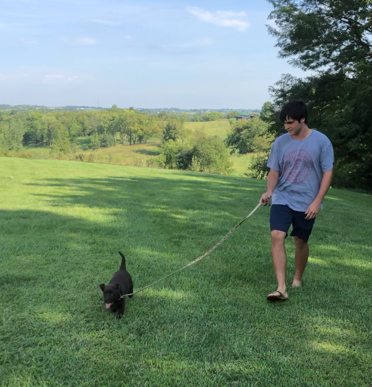 Lucy’s first experience with a leash and her new brother at her birthplace in the rolling hills near Weston, Mo. We felt a little guilty taking her away from this beautiful place!